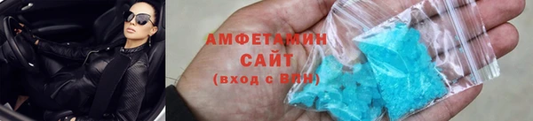 шишки Нея