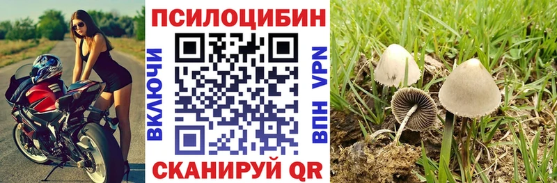 Галлюциногенные грибы MAGIC MUSHROOMS  Старая Русса 